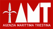 logo_amt_light